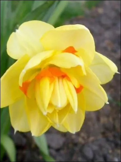 Quelle est cette lettre ? -.