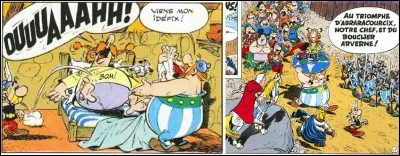 Abraracourcix, malade, doit faire une cure à « Aquae Calidae ». Près de Gergovie, les Romains prennent des baffes et Jules César veut montrer aux habitants qui est le chef ! Pour cela, il a besoin d'un objet qu'il ne retrouve pas. La recherche commence ! Guéri, Abraracourcix réglera le problème !
Quel est cet album ?