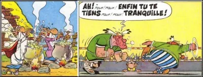 Dans cet album, on se rend compte que l'atterrissage de menhir peut provoquer des dégâts sur l'un des héros du village ! Cette aventure d'Astérix permettra de voir que la romanisation de la Gaule n'a pas fonctionné partout et pas seulement chez nos Gaulois ! Cela finira mal pour les Romains !
Quelle est cette aventure