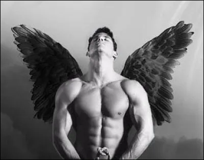 Ange punissant les autres anges qui auraient transgressé la loi de Dieu, malgré cela, il sera le chef des rebelles contre Dieu. Déchu puis réhabilité en combattant du coté de la lumière en affrontant les fils des ténèbres. Qui est-il ?