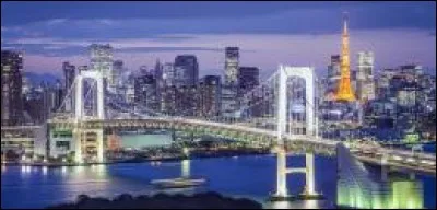 Celle capitale tentaculaire possède l'aire urbaine la plus peuplée du monde.