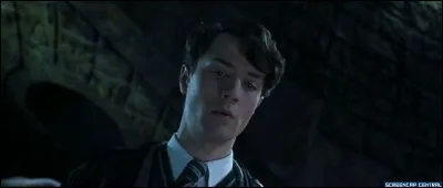 Comment Harry a-t-il d&eacute;truit le journal de Jedusor ?