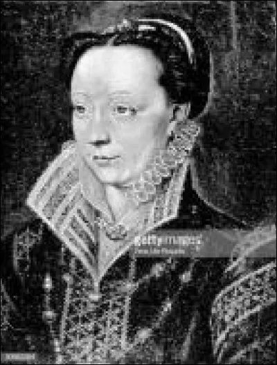 Cette reine, qui naît en avril 1519, fut la plus célèbre de la France du XVIe siècle.