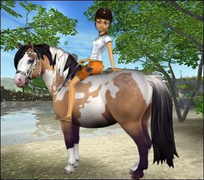 Où est la course des poneys ?