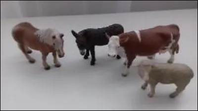 En Islande on trouve environ 1 million de...