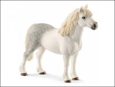 Ce cheval date de l'ann&eacute;e...