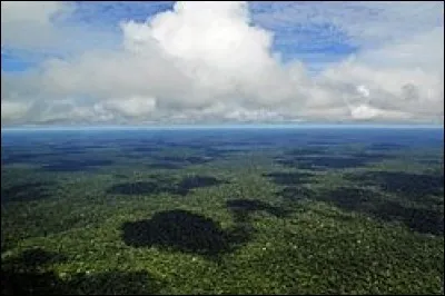 Quel pourcentage de la forêt amazonienne est présent sur le territoire brésilien ?