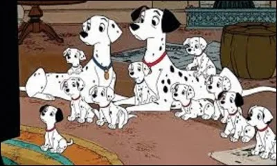 ''Les 101 Dalmatiens'' est le 21e long-métrage d'animation Disney. Sorti en salle en 1961, il est adapté du roman éponyme datant de 1956 d'une romancière, dramaturge et scénariste britannique. Principalement connue pour deux de ses ouvrages de littérature pour enfants, avec ''Le Château de Cassandra'', quel est le nom de cette écrivaine ?