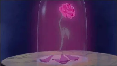 Dans "La Belle et la Bête", à quel anniversaire de la Bête la rose doit-elle se faner ?