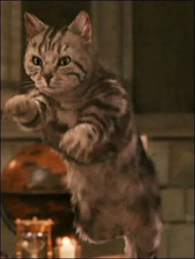 Qui est ce personnage ?