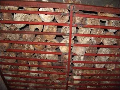 Le gnocide au Rwanda qui dbuta le 6 avril 1994 et fit plus de 800 000 morts, durera environ...