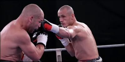 De quelle série de six films, un champion de boxe est-il la vedette ?