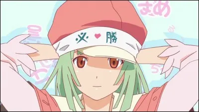 Dans les "Monogatari Series", comment s'appelle l'arc dédié à Nadeko ?