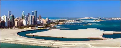 En 2005, Michael quitte les États-Unis. Dans quel pays décide-t-il de s'installer ?