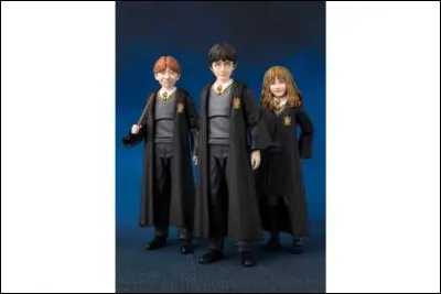 Votre plus grand vœu :