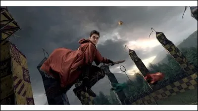 Quel m&eacute;tiers voulez-vous faire plus tard ?