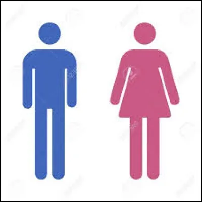 Qu'est-ce que l'ovule ?