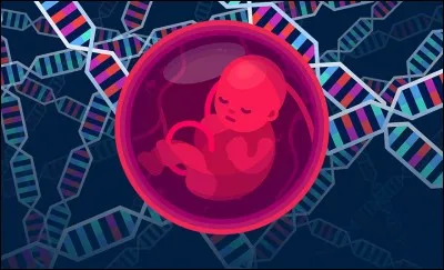 Qu'est-ce que la reproduction asexuée ?