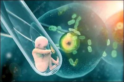 Qu'est-ce que la fécondation ?