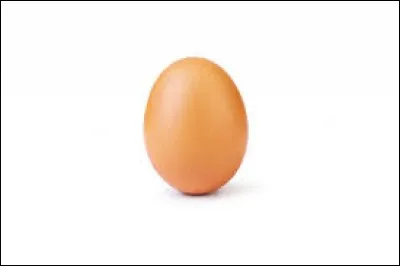 Qu'est-ce que le développement vivipare ?