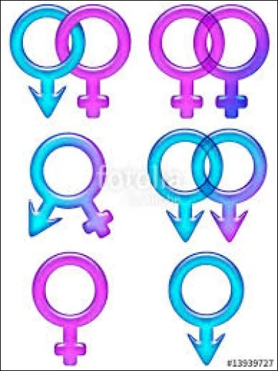 Qu'est-ce que le spermatozoïde ?