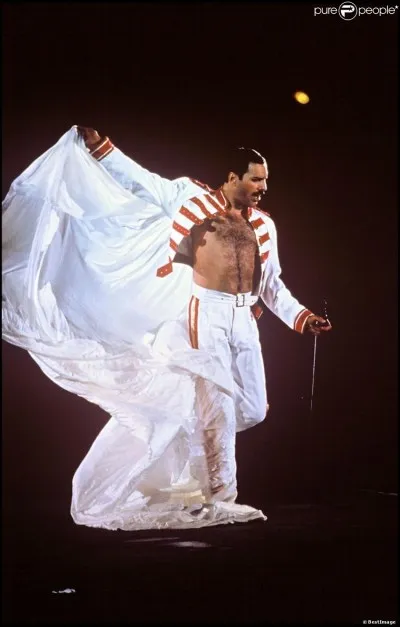 Quel était l'accessoire fétiche de Freddie sur scène ?