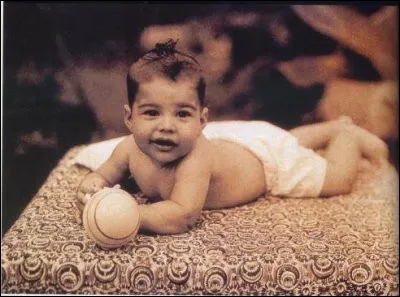 Dans quel sport le jeune Freddie brillait-il lorsqu'il était enfant ?