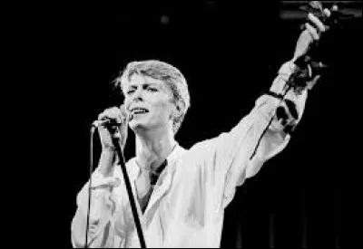 Où David s'exile-t-il entre 1976 et 1979 ?