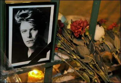 Quelle anecdote concernant David est fausse ?