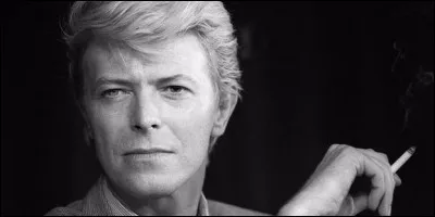 À quoi et à qui fait référence le nom de Bowie ?