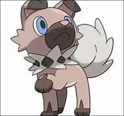 Quel est ce Pokémon ?