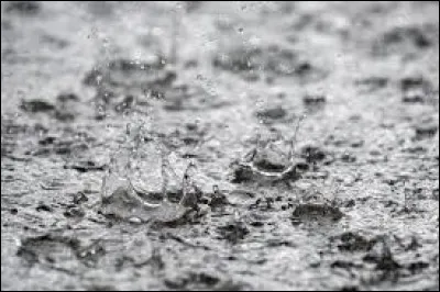 Qui a créé la coutume de couronner une rosière ?