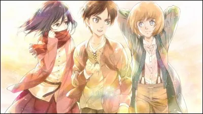 Dans le manga/animé "Attack on Titan/Attaque des Titans/Shingeki no Kyojin" où habitaient Eren, Mikase et Armin dans le premier épisode ?
