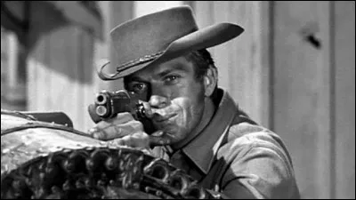 Quel est le nom de cet acteur qui a incarné le personnage de Josh Randall dans la série américaine ''Au nom de la loi'' ?