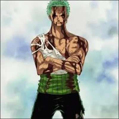 Qui sauve la vie de Luffy ?