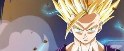 Quand voit-on Sangohan se transformer en Super Saiyan 2 pour la première fois ? (Je tiens à dire qu'on le voit se transformer pendant quelques secondes en SSJ2)