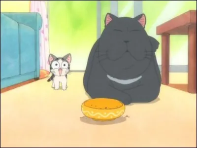 De quel animé s'agit-il ?