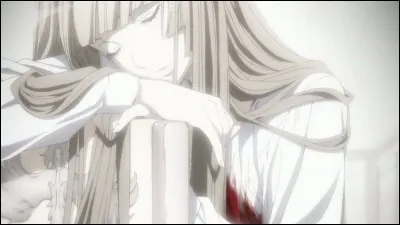 De quel animé s'agit-il ?