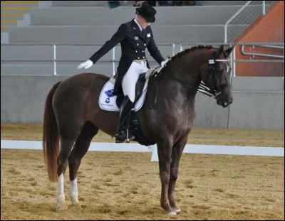 Comment s'appelle cette discipline ?