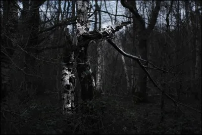 Apr&egrave;s plusieurs heures, vos appels restent sans r&eacute;ponse...