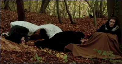 La douleur dans votre nuque s'intensifie et se propage jusqu'&agrave; devenir insupportable, vous vous mettez &agrave; maudire :