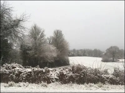 Pourquoi Lyra va-t-elle dans le Nord ?