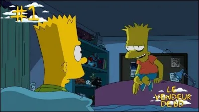 Depuis quelle année est diffusée la série des Simpson aux États-Unis ?