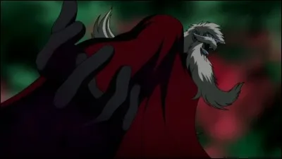 De quel anime s'agit-il ?