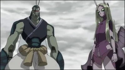 De quel anime s'agit-il ?