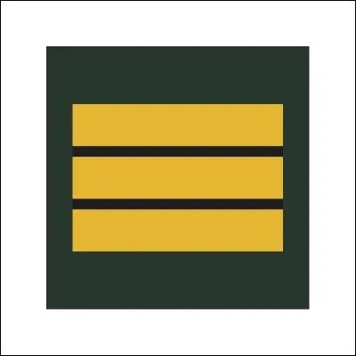 Quel est ce type de grade ? Celui des...