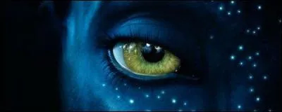 Comment dit-on 'oeil' en na'vi?