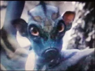 Qu'est-ce que c'est?