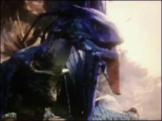 Comment les na'vis nomment cette crature?