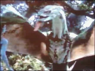 Comment celui-ci s'appelle-t-il? (c'est celui de Neytiri)